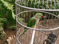 -南宫五洲植物乐园