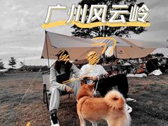 -风云岭森林公园
