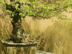 -慧因高丽寺