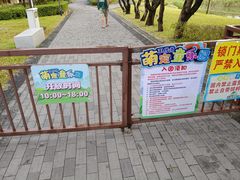 -王借岗森林公园