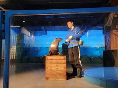 -常州海昌海洋探索馆