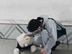 -星多哈·狗咖·拼豆·咖啡