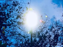 -华南理工大学(大学城校区)