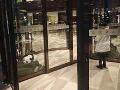 -岷山饭店-芝芝自助餐厅