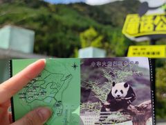 -卧龙中华大熊猫苑神树坪基地