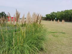 -嘉北郊野公园