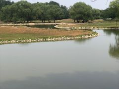 -北京麋鹿生态实验中心