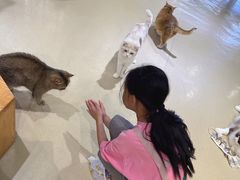 -藏猫猫咖啡主题馆(中央大道店)