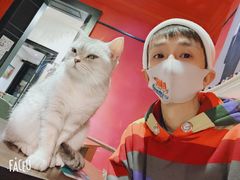 -猫色咖啡·猫咖