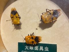 -陕西自然博物馆