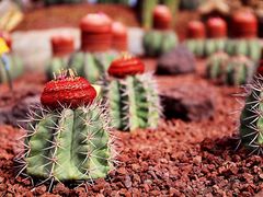 -南通洲际绿博园