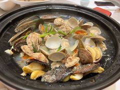 -半岛宴·湛江精品菜(蛇口广场店)
