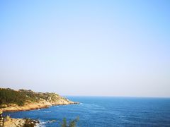 -广东惠东海龟国家级自然保护区