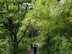 -青龙山国家森林公园