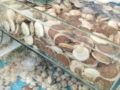 -仙螺岛海鲜自助餐厅(总店)