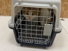-美联众合动物医院·24h京西诊疗中心