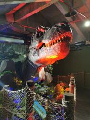 -恐龙探索乐园(磁器口店)