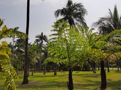 -中国科学院西双版纳热带植物园
