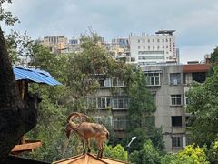 -昆明动物园