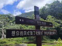 -呀诺达热带雨林