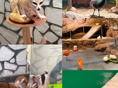 -海合安武汉极地海洋公园