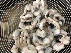 -濠轩阁特色生蚝火锅(水湾路店)