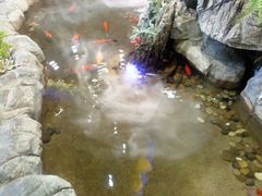 -小天鹅火锅·一线江景洪鼎旗舰店(洪崖洞店)