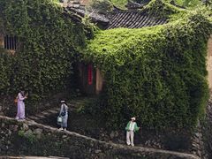 -杨家堂村