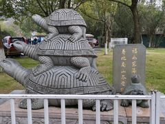 -东钱湖小普陀景区