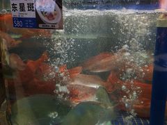 -欢乐海岸美食联盟