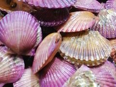 -集杰尚品海鲜烤肉自助餐厅(乳山振华店)