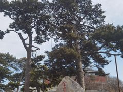 -妙峰山风景名胜区