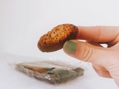 -珍妮曲奇聪明小熊(上环店)