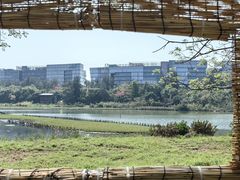 -华侨城湿地公园