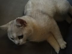 -南京夫子庙国际青年旅舍(平江府路店)