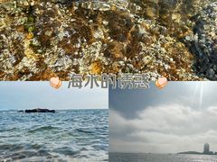 -青岛第三海水浴场