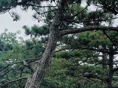 -罗田薄刀峰风景区
