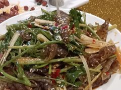 -金龙寨(龙城路店)
