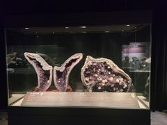 -正佳自然科学博物馆