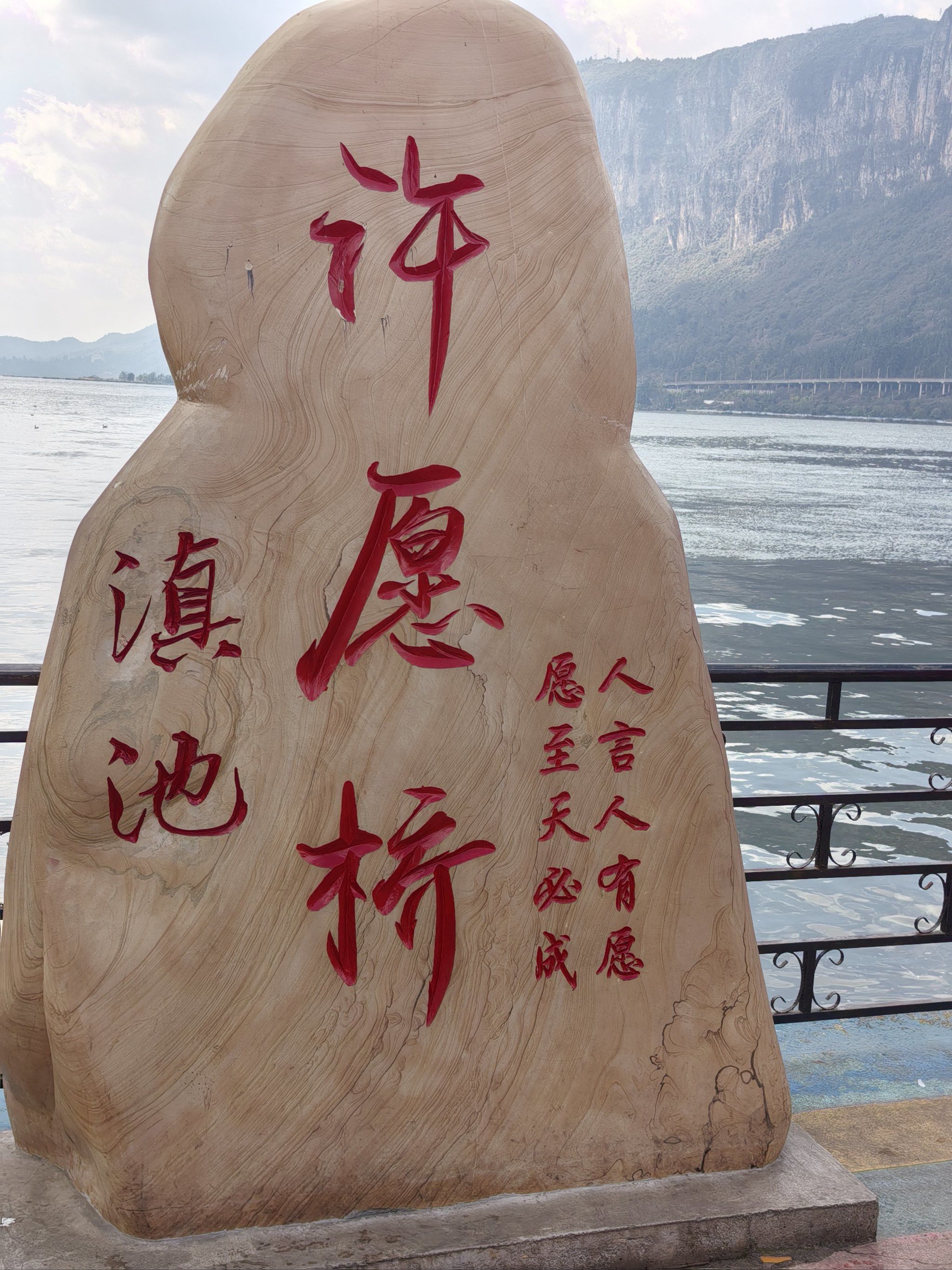 滇池,海鸥的世界