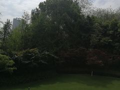 -龙头寺公园