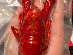 -靓靓蒸虾·头牌蒸虾(沙湖旗舰店)