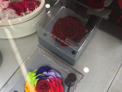 -ROSEONLY诺誓(沈阳万象城店)