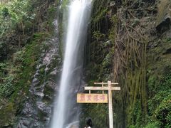 -莫里热带雨林景区