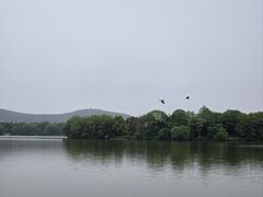 -云龙湖旅游景区