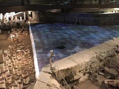 -元代水闸遗址博物馆