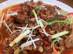 -尕西新疆大盘鸡(回辉村分店)