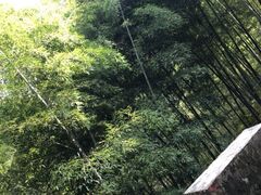 -白云源风景区