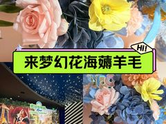 -美罗城