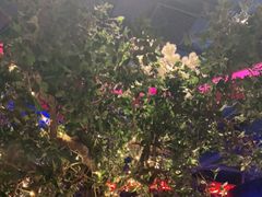 -肉串汪(望京店)